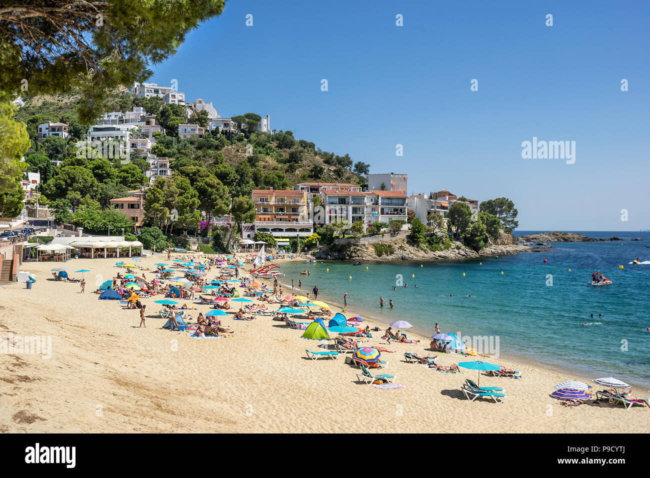 Canyelles roses sur le Cap Creus Costa Brava Banque D'Images