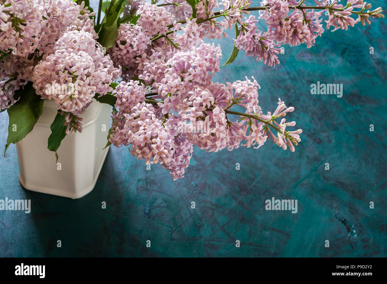 Bouquet de lilas en vase en céramique blanche sur fond d'émeraude. Haut de la vue de côté. Banque D'Images