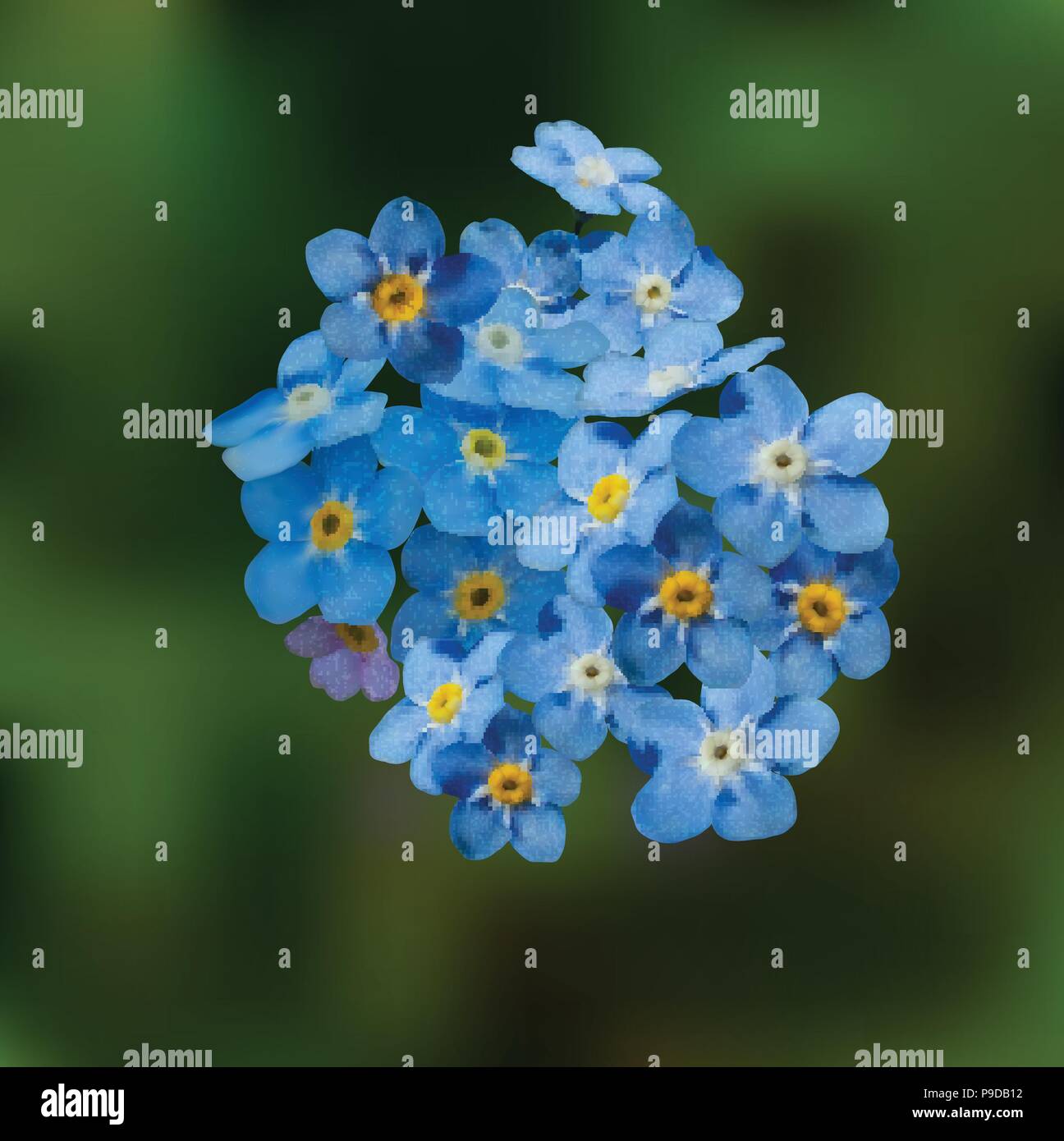 Blue ne m'oubliez pas les fleurs de printemps Illustration de Vecteur