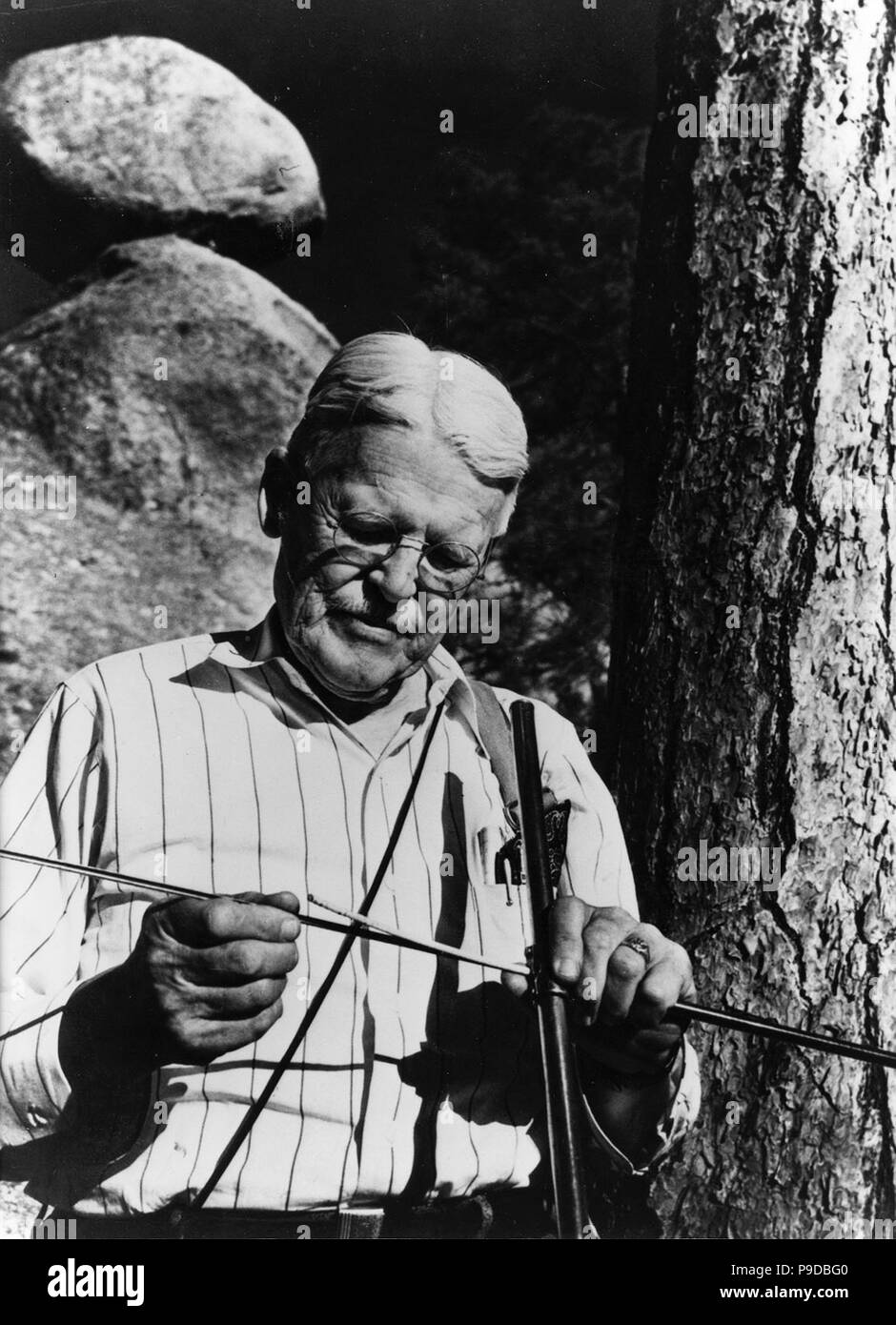 Andrew Ellicott Douglass (1867-1962) la collecte des échantillons des cernes. Musée : Université de l'Arizona Photo Stock - Alamy