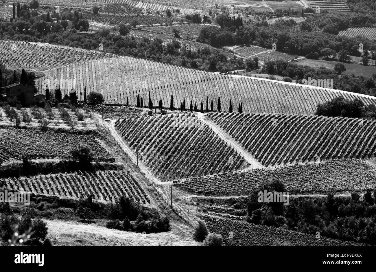 Panzano, Toscane Italie. Juin 2018 Belle hill top ville médiévale dans la région viticole du Chianti de la Toscane au sud de Greve in Chianti en Italie. T Banque D'Images