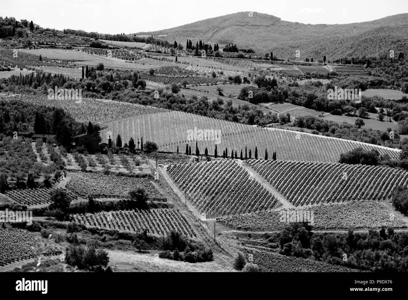 Panzano, Toscane Italie. Juin 2018 Belle hill top ville médiévale dans la région viticole du Chianti de la Toscane au sud de Greve in Chianti en Italie. T Banque D'Images