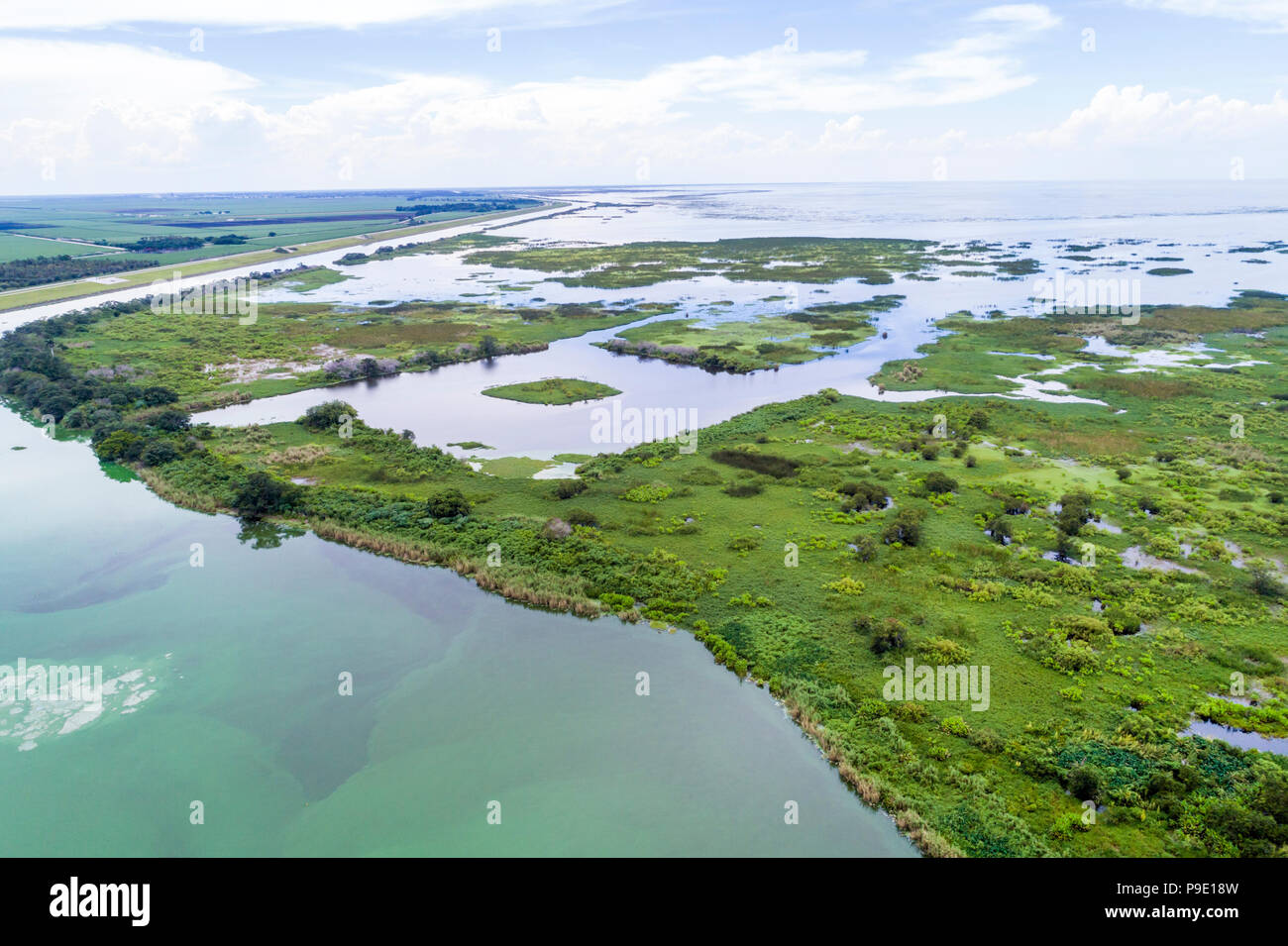 Floride, Clewiston, Lake Harbour, vue aérienne du lac Okeechobee, FL18071158d Banque D'Images