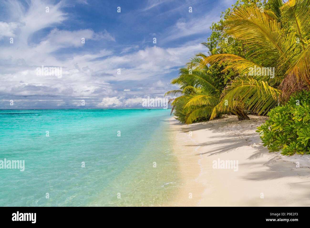 Scène de plage tropicale tranquille. Palmiers et de paysage tropical et d'une mer bleue Banque D'Images