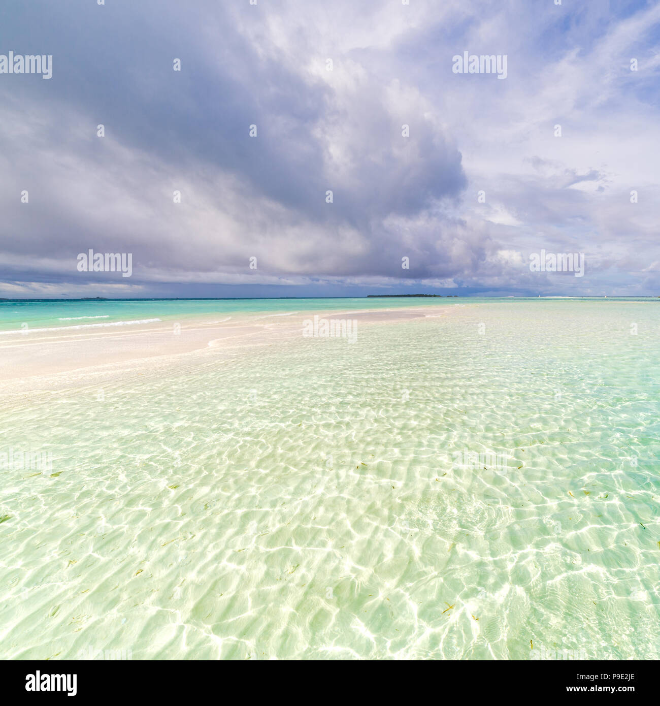 Maldives Paradise beach. De beaux palmiers et plage tropicale. Moody ciel bleu et bleu lagon. Voyage de luxe des vacances, voyages exotiques Banque D'Images