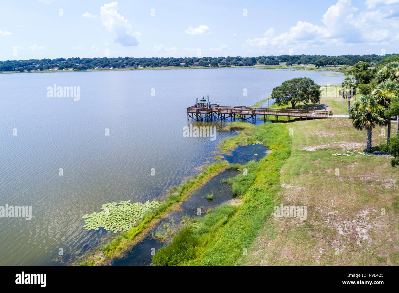 Lac Wales Floride, Wailes, jetée de pêche, parc de la ville, vue aérienne au-dessus, FL18071153d Banque D'Images