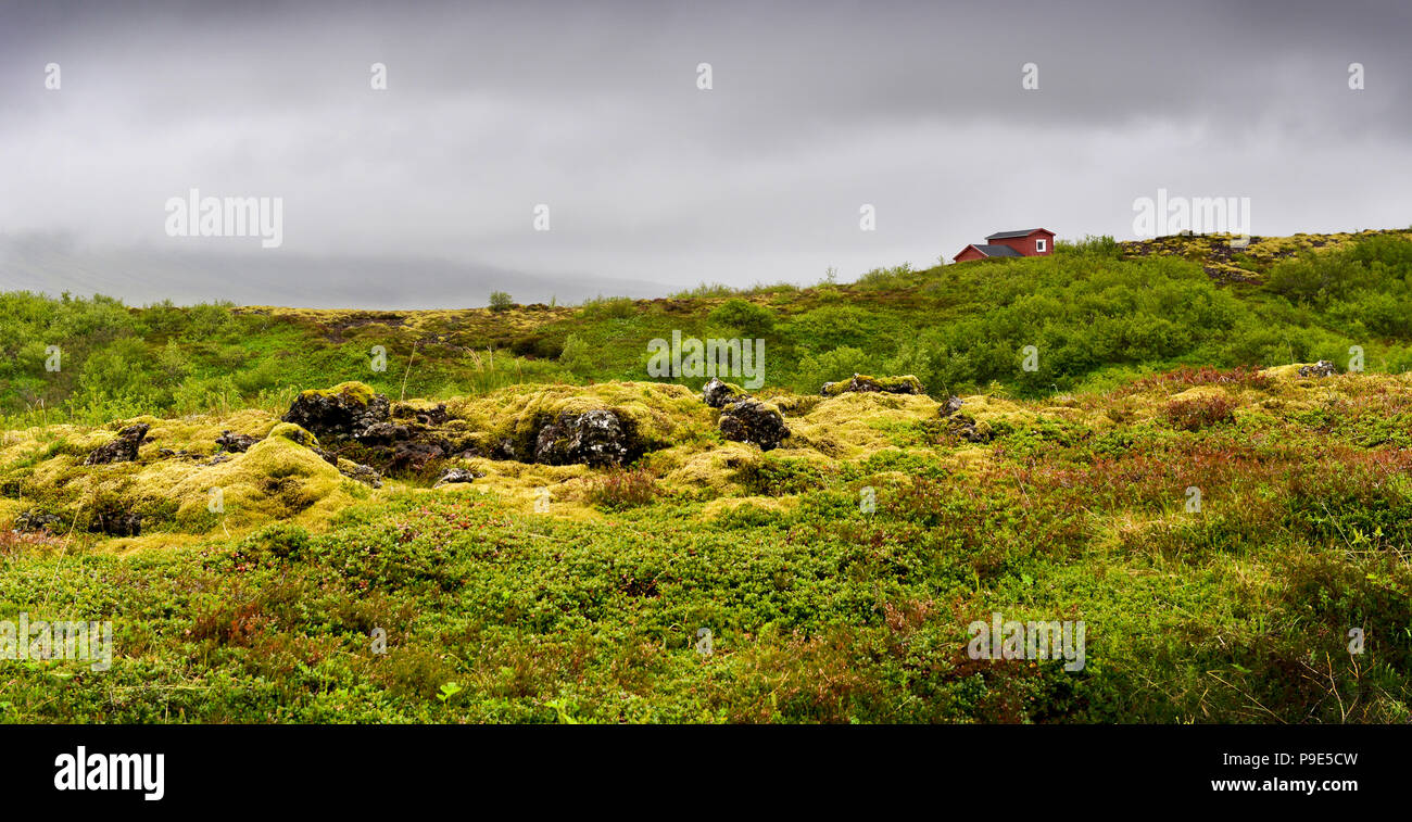 Une petite cabane rouge dans un paysage islandais Banque D'Images