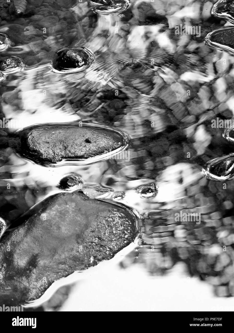 Reflet de feuilles sur l'eau de cours d'eau. Banque D'Images