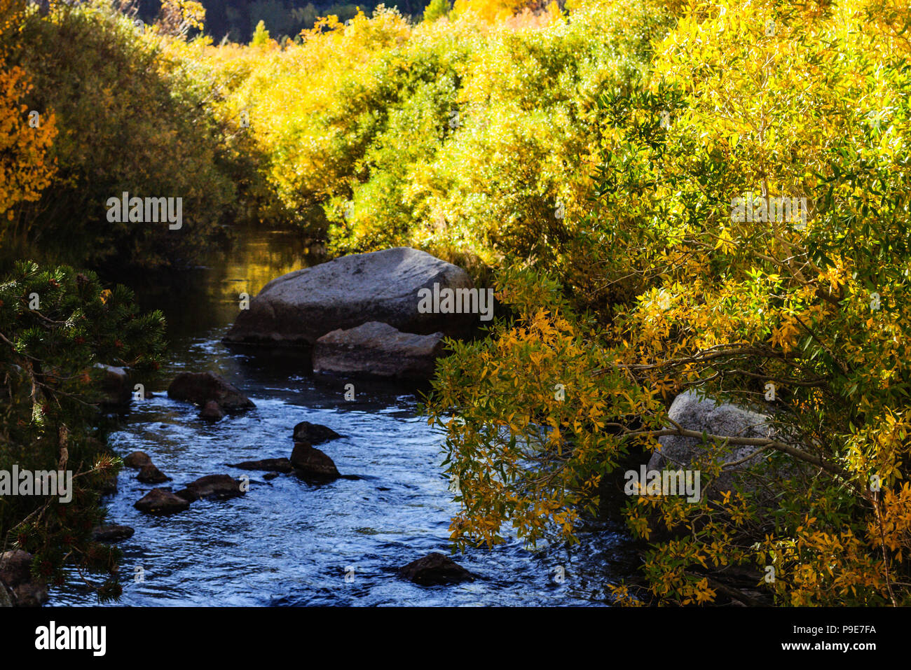 Bishop Creek dans les montagnes de la Sierra Nevada à l'automne Banque D'Images