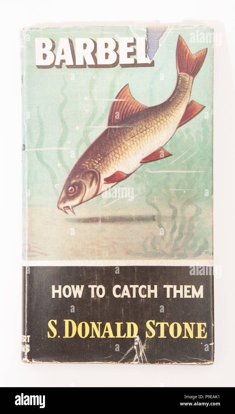 Barbel Comment les attraper S. Donald Stone-How à les attraper. Le Comment les attraper série de livres de pêche ont été publiés par Herbert Jenkins et Banque D'Images
