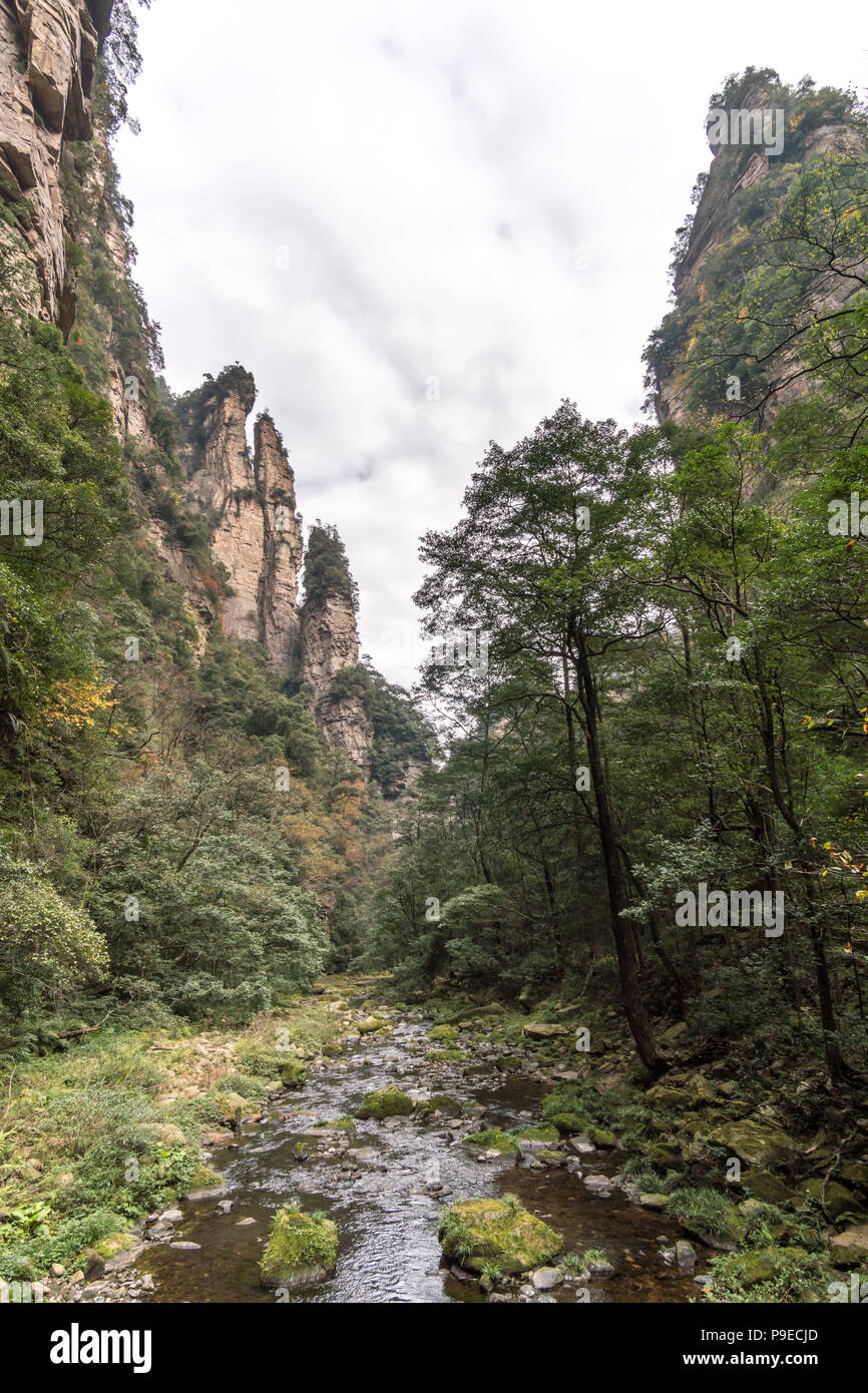 Paysage de Zhangjiajie. Prises à partir de la vieille maison. Situé dans d'intérêt panoramique et historique de Wulingyuan Région qui a été désigné site du patrimoine mondial de l'UNESCO ainsi qu'AAAAA scenic area en Chine. Banque D'Images