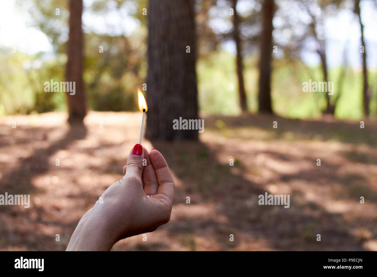 Main tenant une allumette en feu dans la forêt Banque D'Images