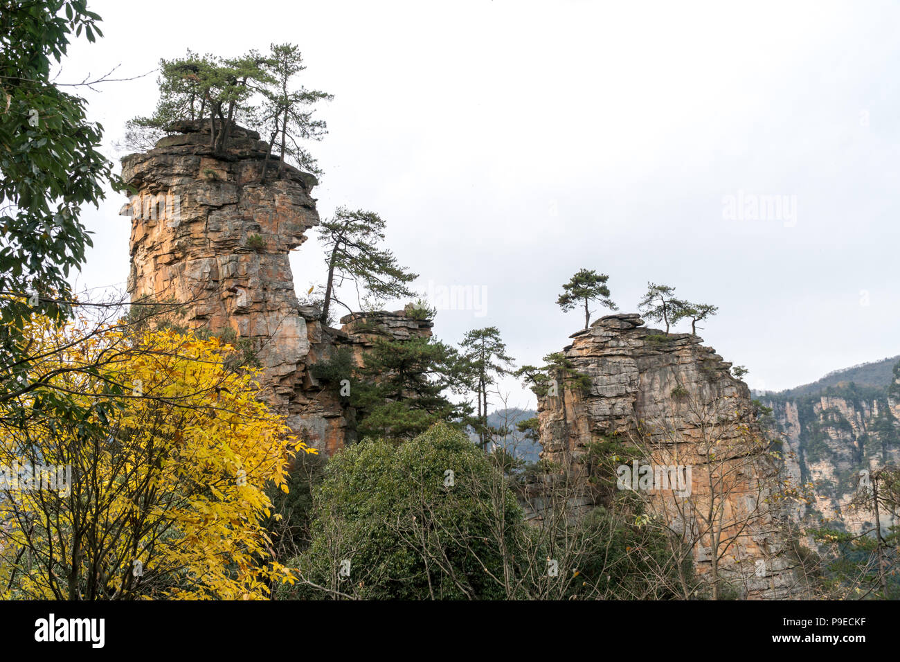 Paysage de Zhangjiajie. Prises à partir de la vieille maison. Situé dans d'intérêt panoramique et historique de Wulingyuan Région qui a été désigné site du patrimoine mondial de l'UNESCO ainsi qu'AAAAA scenic area en Chine. Banque D'Images