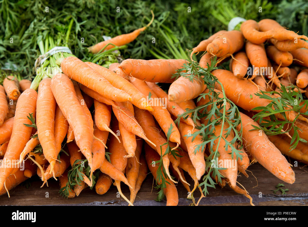 Récolte de carottes biologiques sur l'affichage à farmers market Banque D'Images