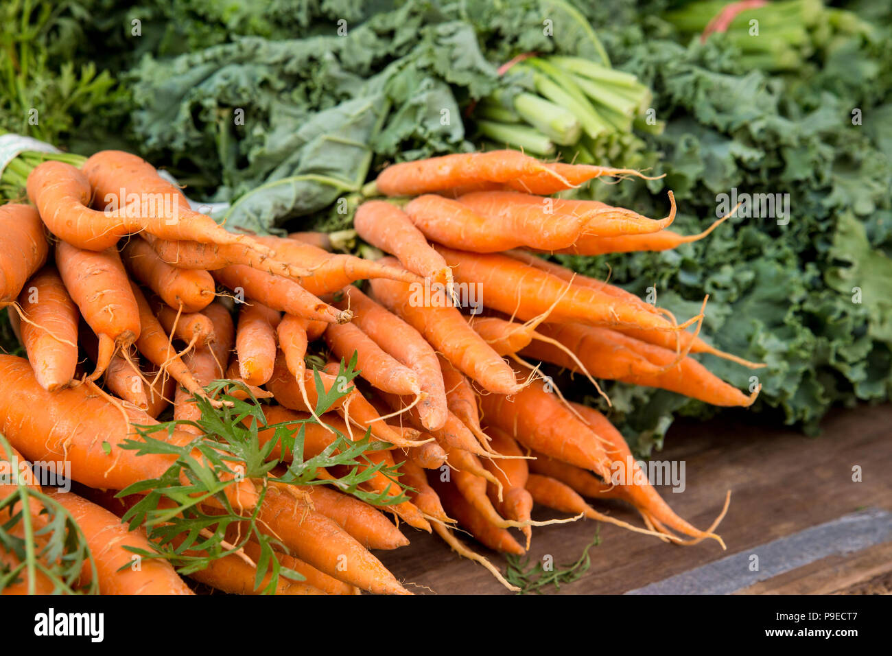 Récolte de carottes biologiques sur l'affichage à farmers market Banque D'Images