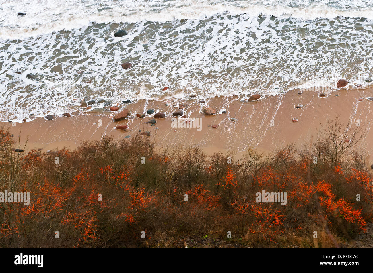 Vue de dessus de la mer et les vagues, l'argousier sur la plage Banque D'Images