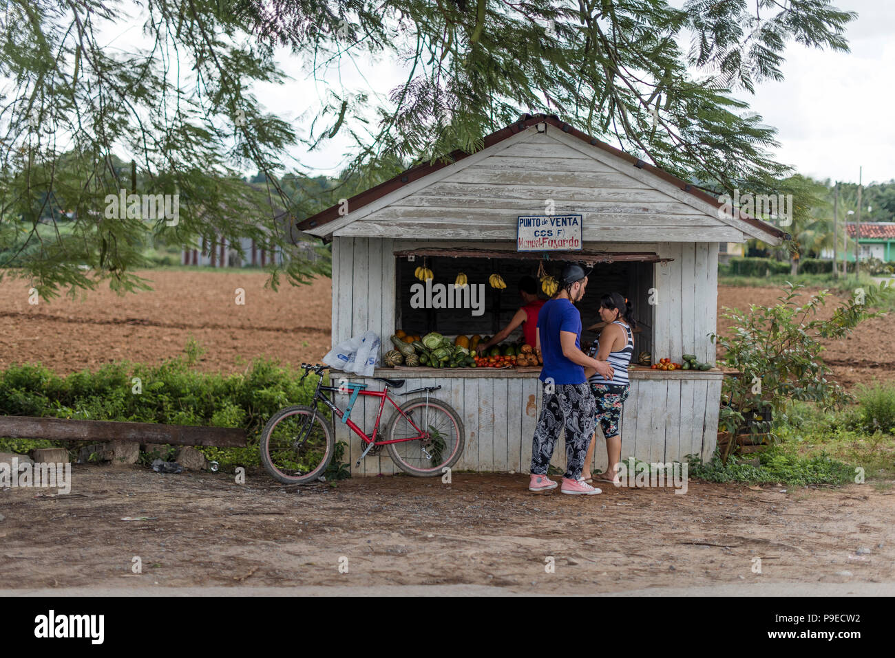 Un stand vend des produits sur le côté de la route à Viñales, Cuba. Banque D'Images