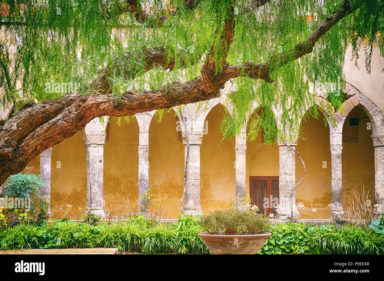 Cloître saint François à Sorrento , Italie. Banque D'Images