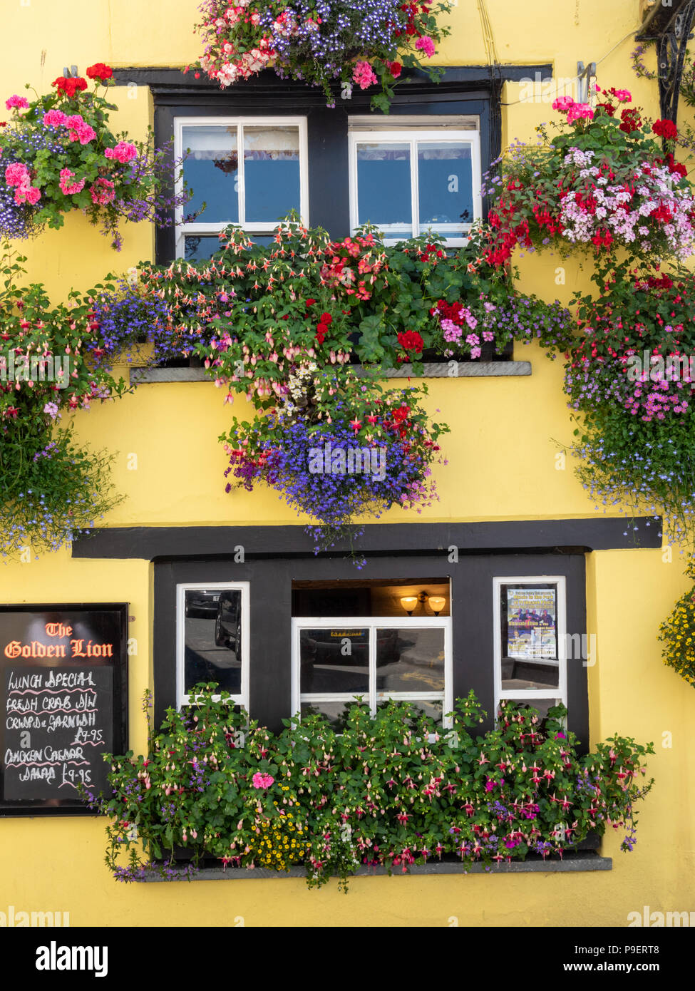 Belle fleur et zones de la fenêtre affiche au Golden Lion Hotel et pub à Padstow Cornwall UK Banque D'Images
