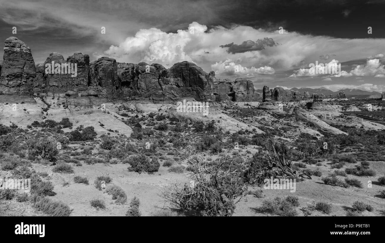 Rock formations in Arches National Park, Utah. Banque D'Images