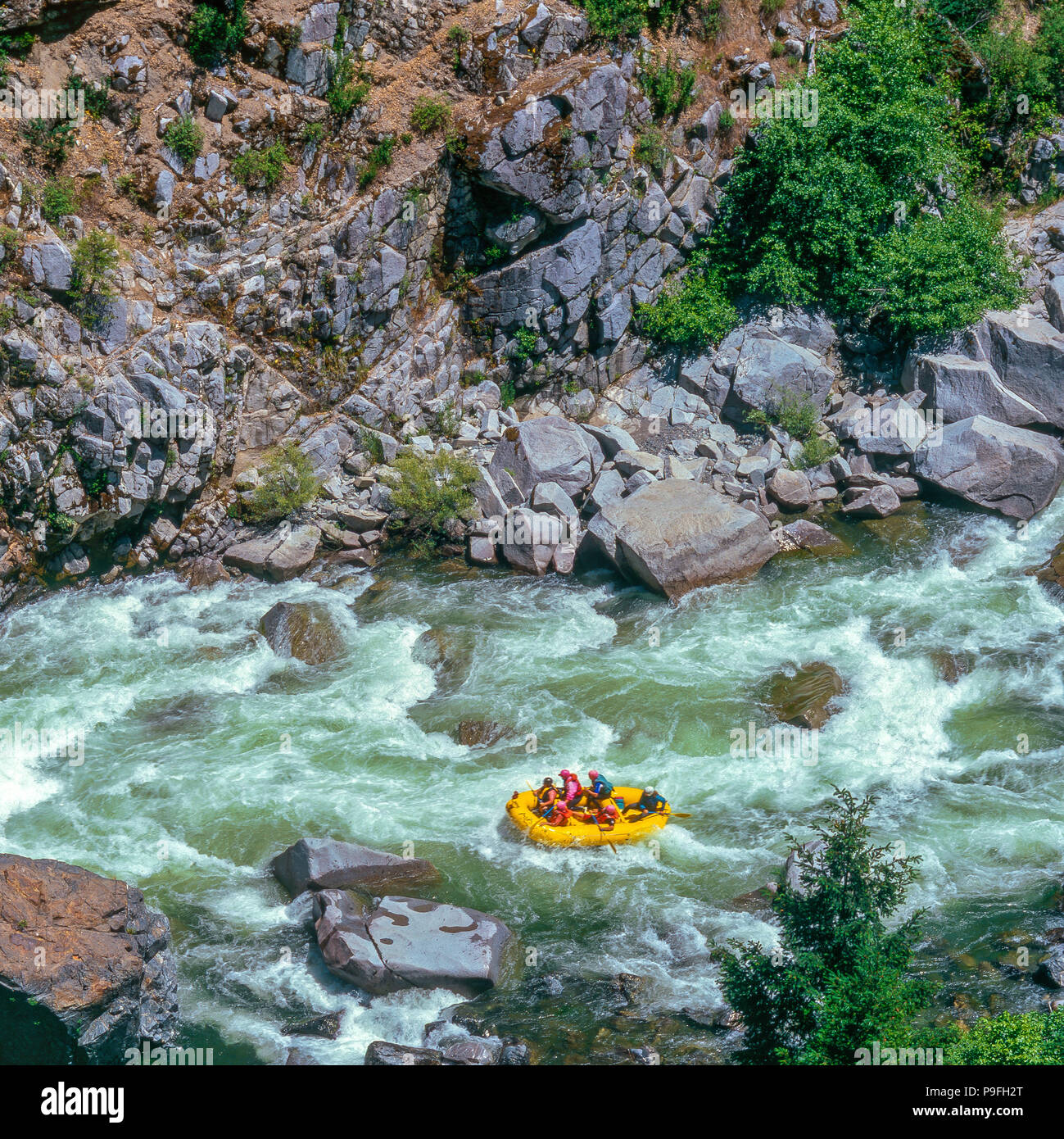 Rafting, rivière à saumons, Klamath National Forest, Californie Banque D'Images