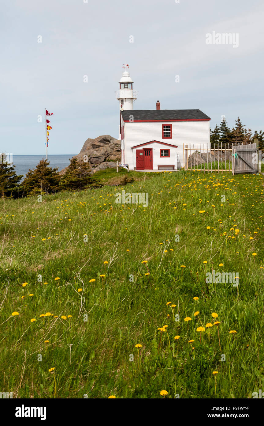 Le phare de Lobster Cove Head, près de Rocky Harbour, Terre-Neuve Banque D'Images