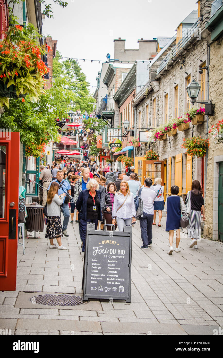 Célèbre rue commerçante historique Petit Champlain à Québec Canada Banque D'Images