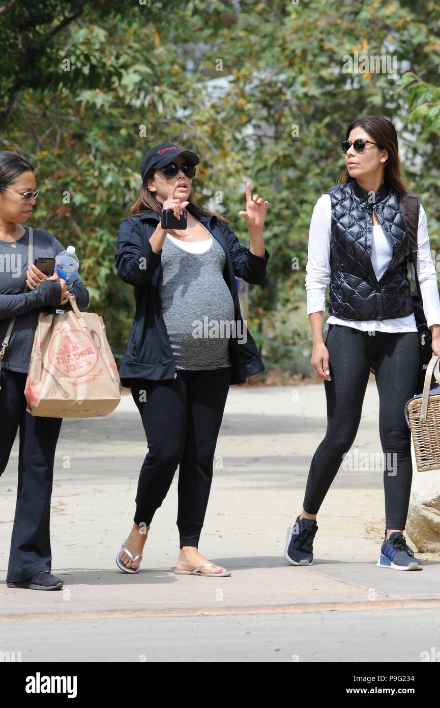 Eva Longoria Montre Son Enorme Bosse De Bebe Tandis Que Dehors Pour Un Dejeuner Pique Nique Avec Des Amis A L Arbre A Los Angeles Un Jour Apres Son Bien Aime Chien Jinxy Avec