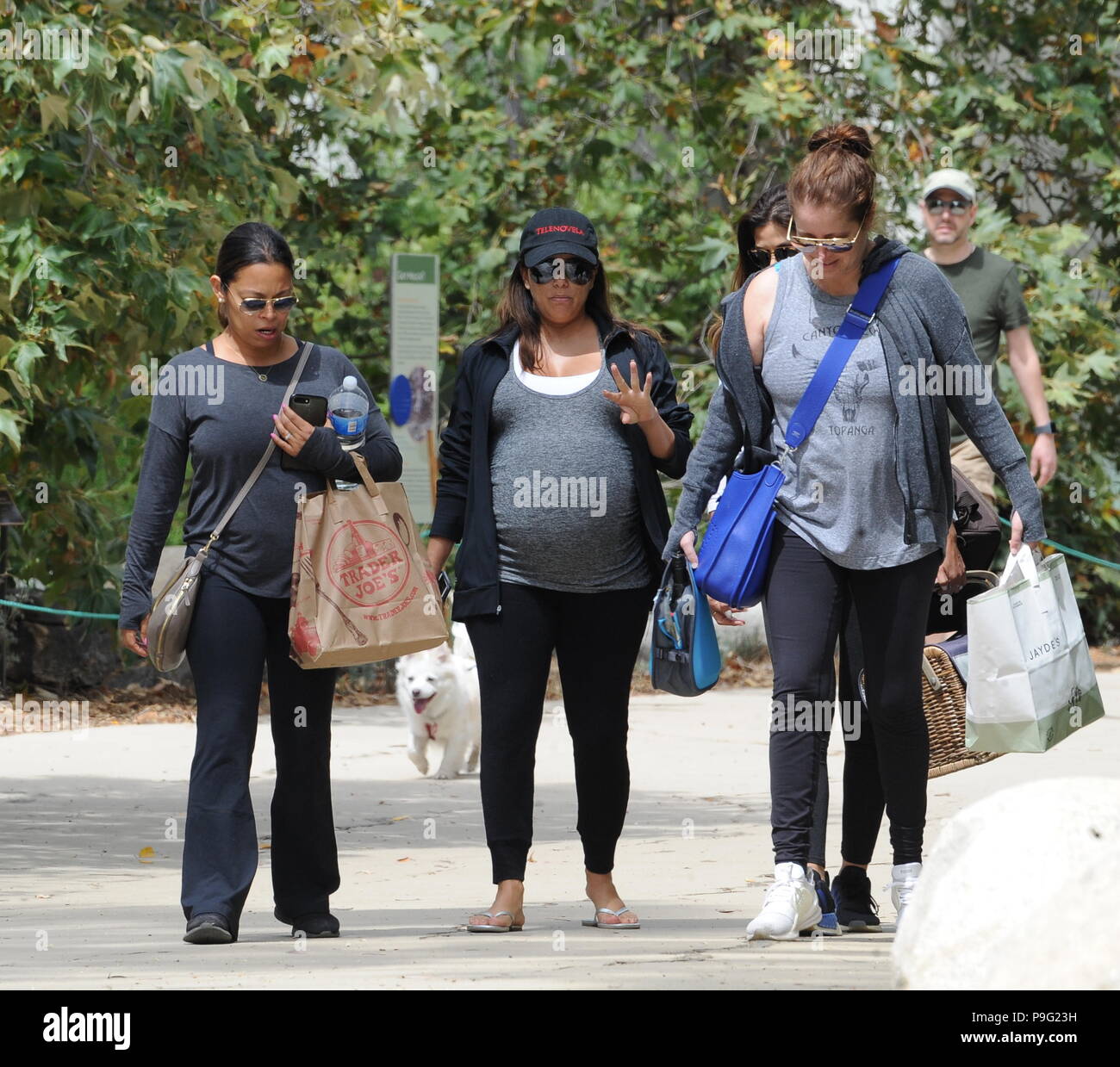 Eva Longoria Montre Son Enorme Bosse De Bebe Tandis Que Dehors Pour Un Dejeuner Pique Nique Avec Des Amis A L Arbre A Los Angeles Un Jour Apres Son Bien Aime Chien Jinxy Avec