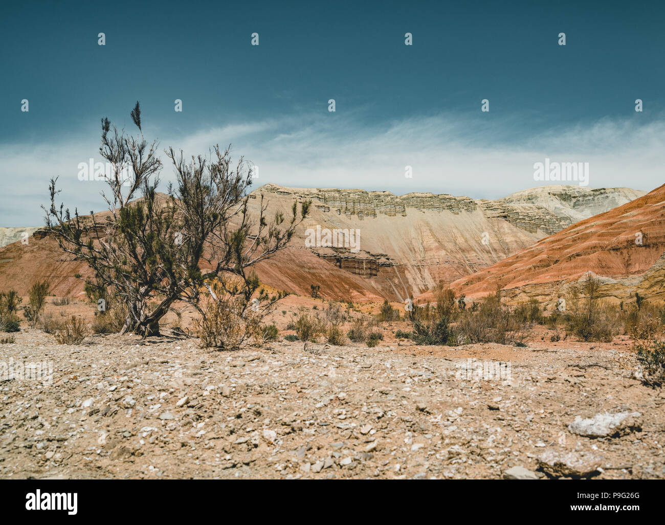 Takyr à Aktau montagnes blanches dans Altyn-Emel National Park, au Kazakhstan Banque D'Images