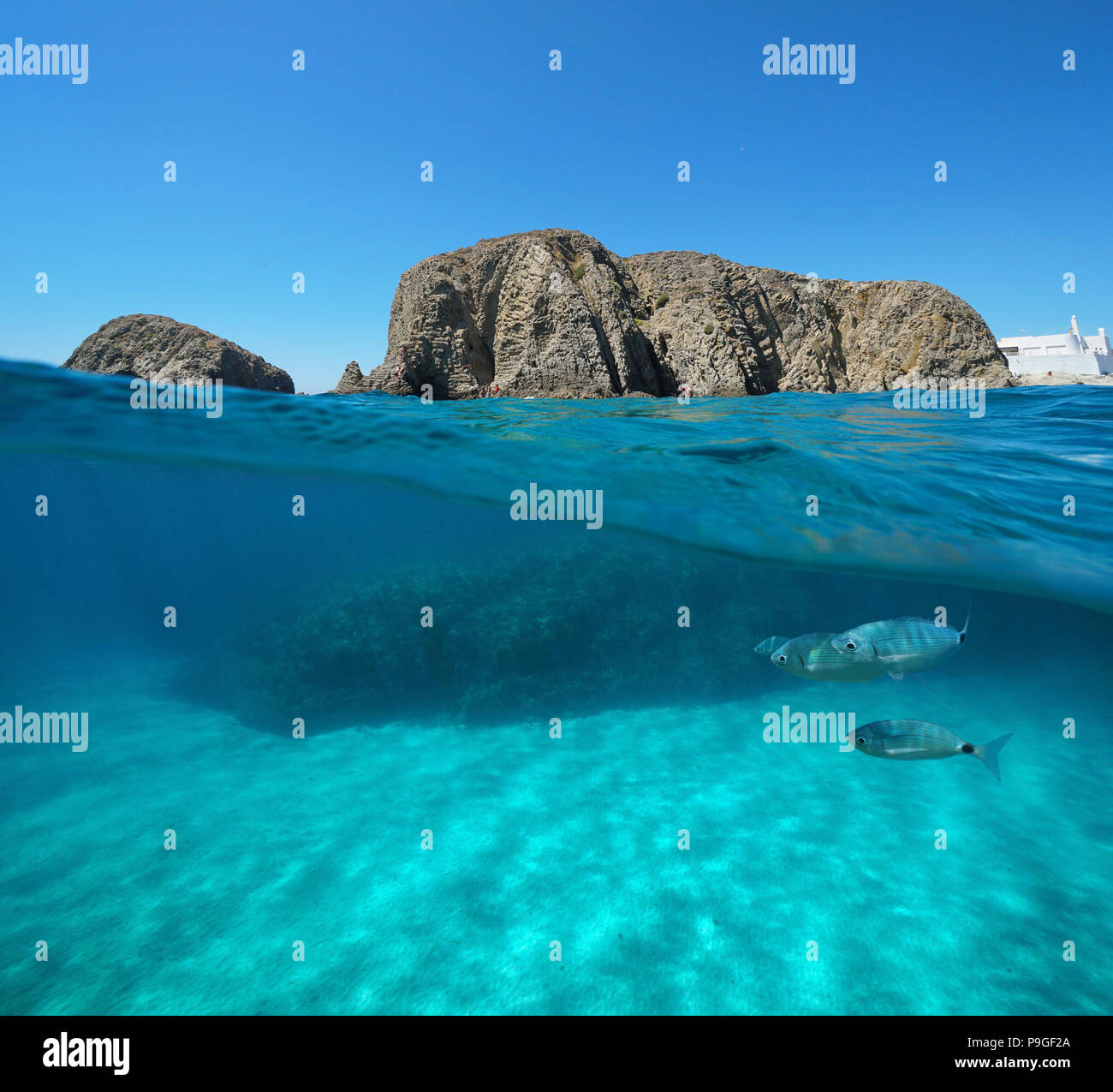 Rock formation sur le bord de la mer avec les poissons et de sable sous l'eau, vue fractionnée au-dessus et au-dessous de la surface, la mer Méditerranée, La Isleta del Moro, Espagne Banque D'Images