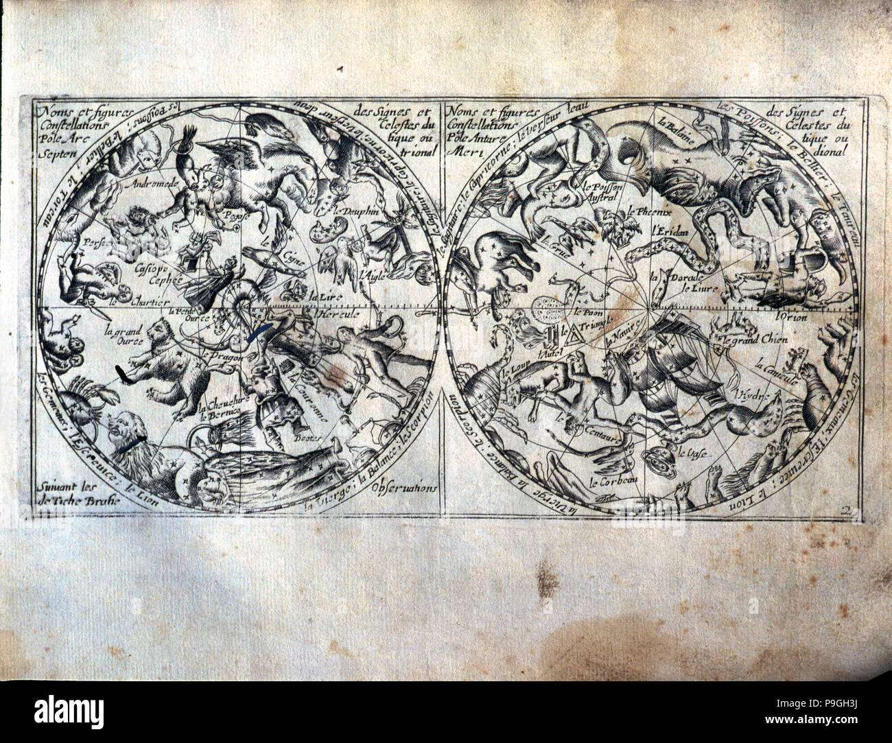 'Globes Céleste', nom et les chiffres de la constellations célestes et les signes de l'Arctique et … Banque D'Images
