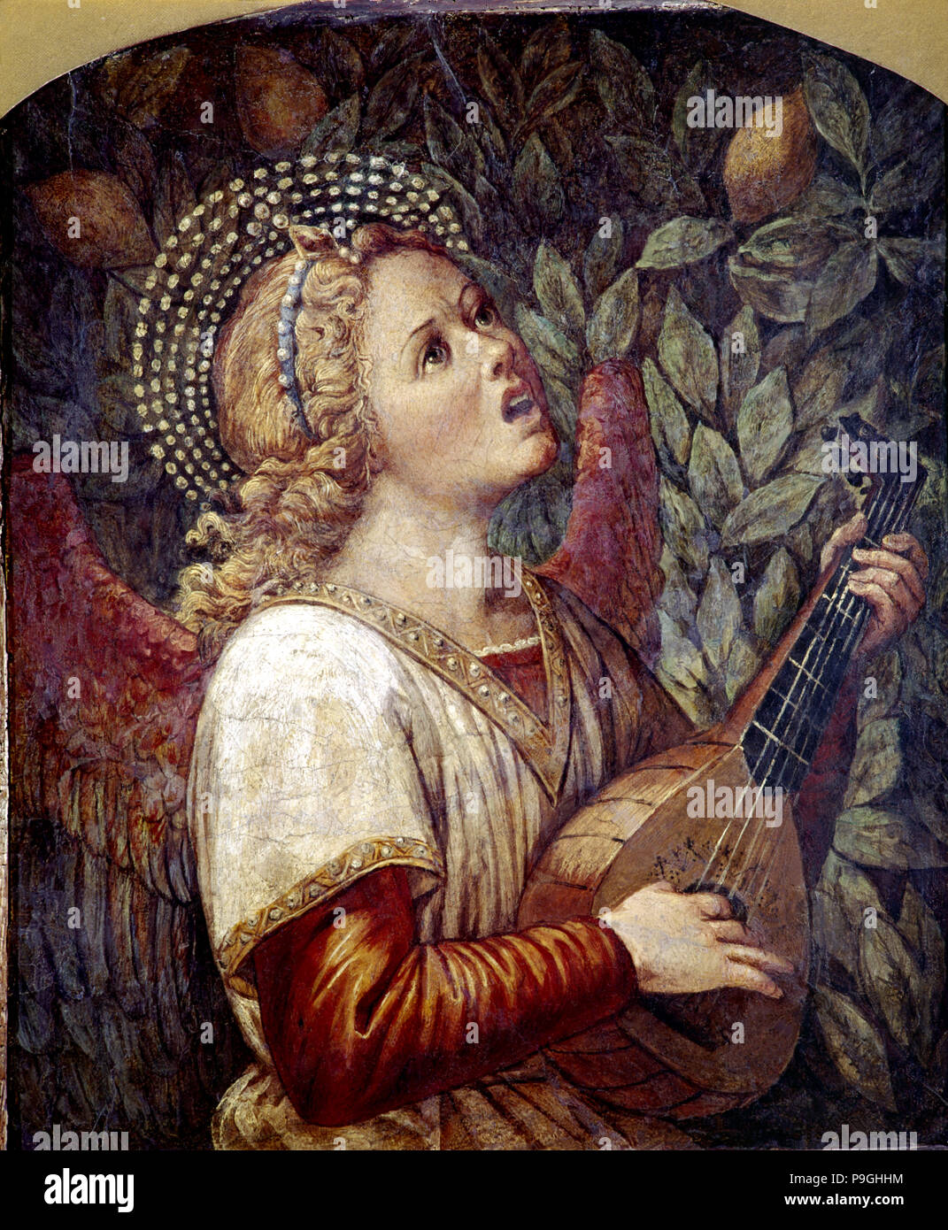 Ange Musicien', par Melozzo da Forli. Banque D'Images