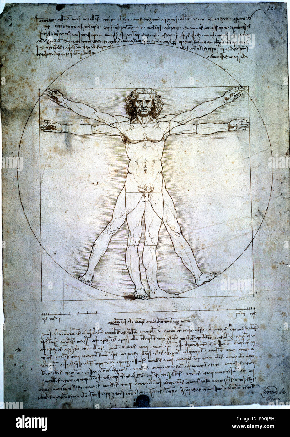 La proportion de la figure humaine", de Léonard de Vinci. Banque D'Images
