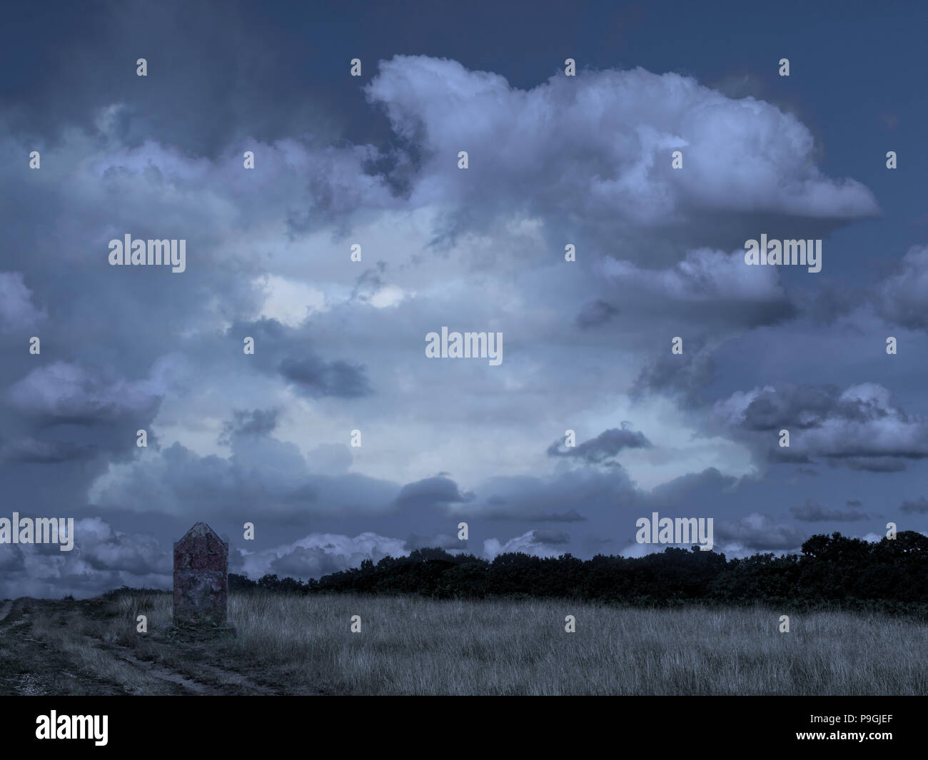 Lonely grave par piste, pierre tombale en pleine nature, le parc. Campagne avec appréhension, dramatique nuages. Contexte idéal, avec copyspace. Banque D'Images