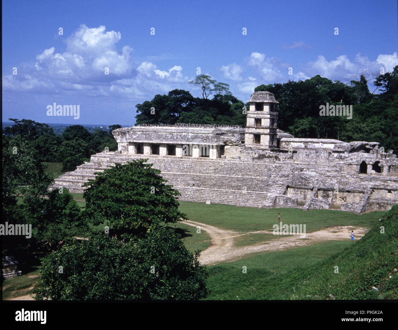 Vue sur "Le Palace" dans les ruines Maya de Palenque. Banque D'Images
