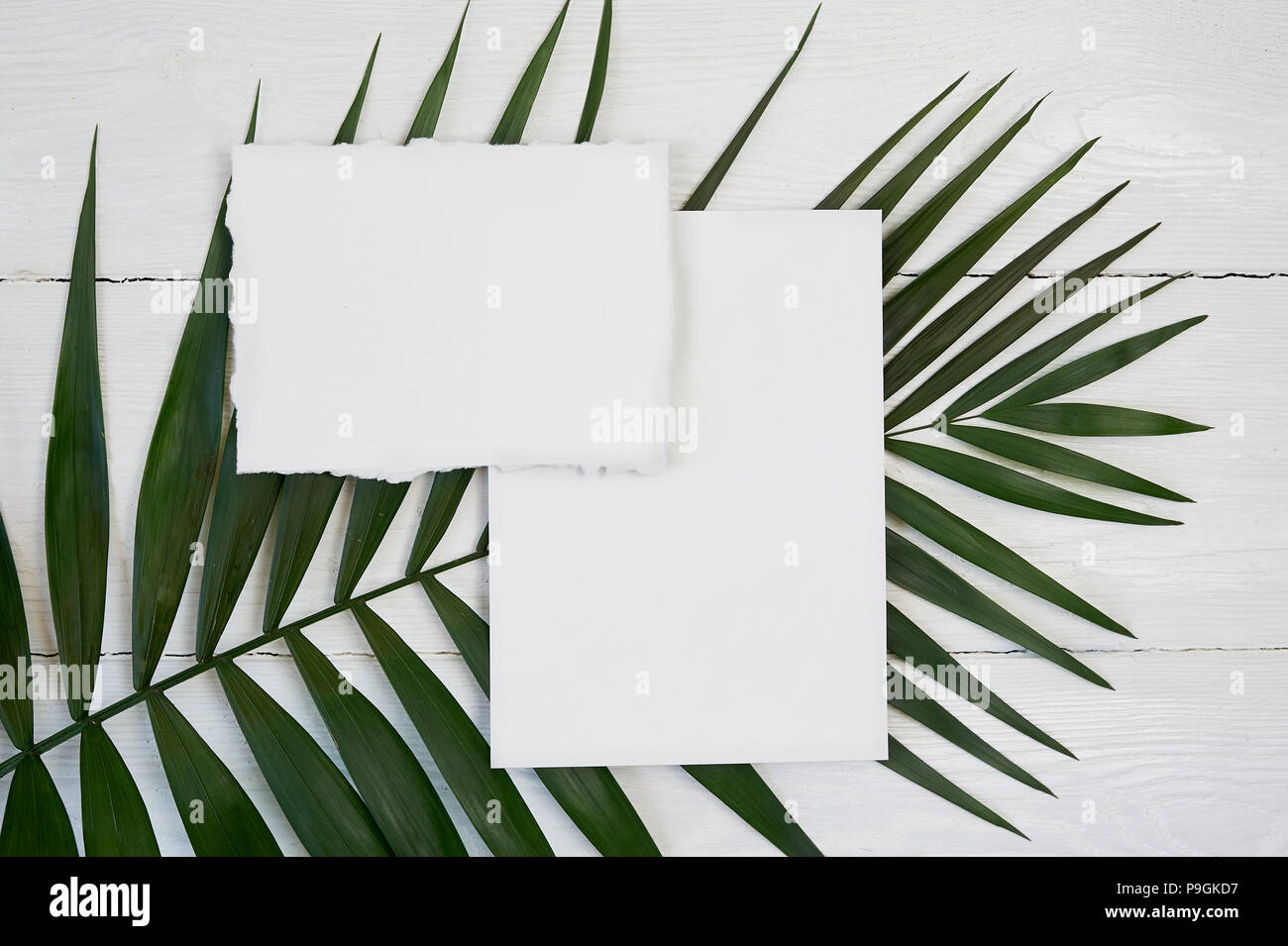 Carte de voeux vierge blanc sur un arrière-plan avec la feuille de palmier sur un fond en bois blanc avec de l'espace pour votre texte. Immersive avec enveloppe et carte vierge. Mise à plat. Vue d'en haut Banque D'Images