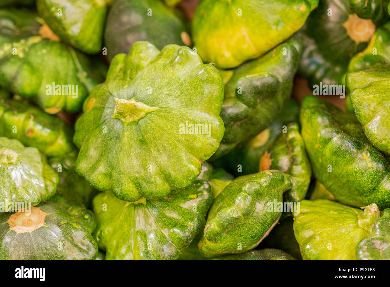 Patissons vert. Patissons vert sur le comptoir du magasin. Banque D'Images