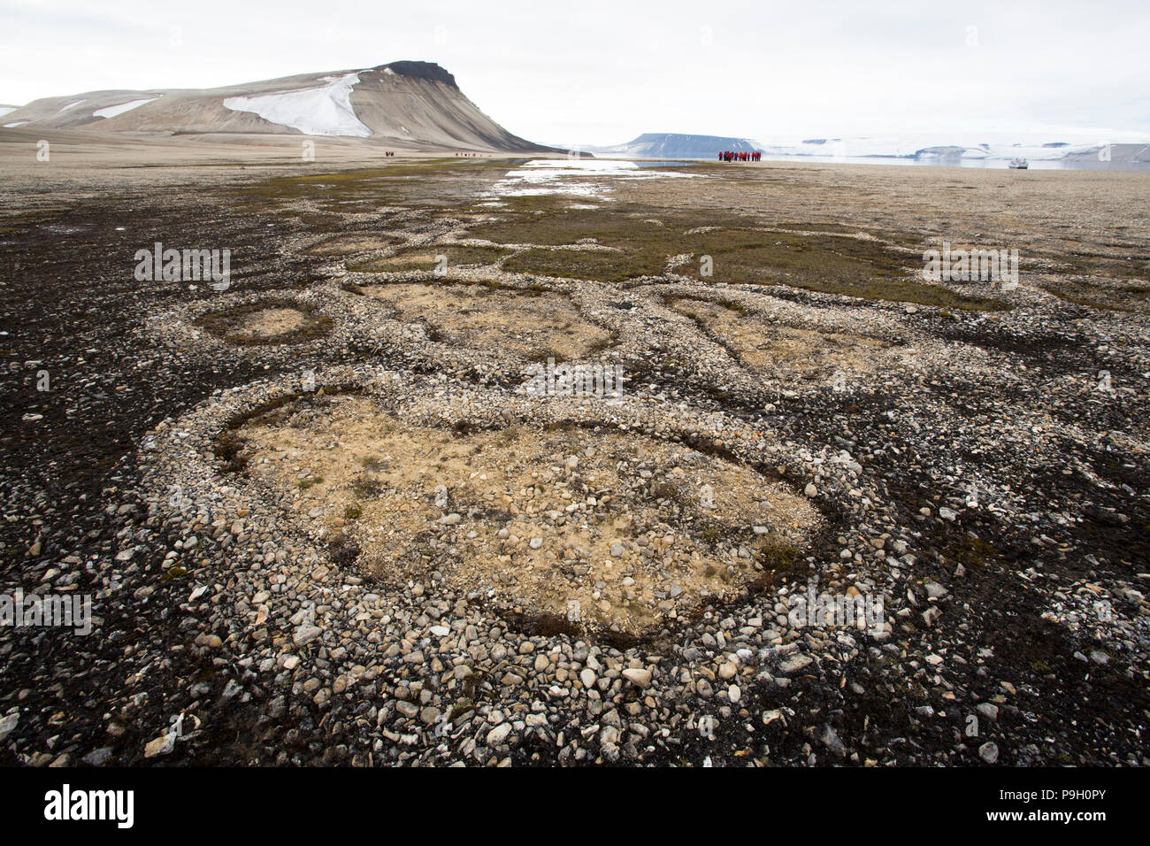 Cercles de pierres naturelles causées par la cryoturbation dans un désert polaire. Zeipelodden, France Banque D'Images