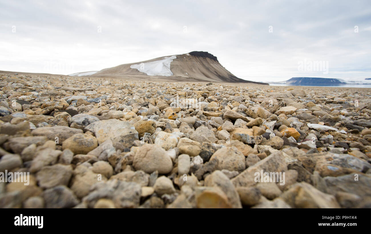 Un désert polaire, Svalbard, Zeipelodden Photo Stock - Alamy