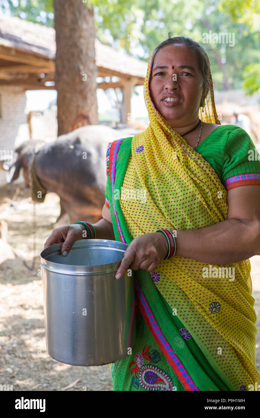 Une femme portant le lait frais d'une vache. Banque D'Images