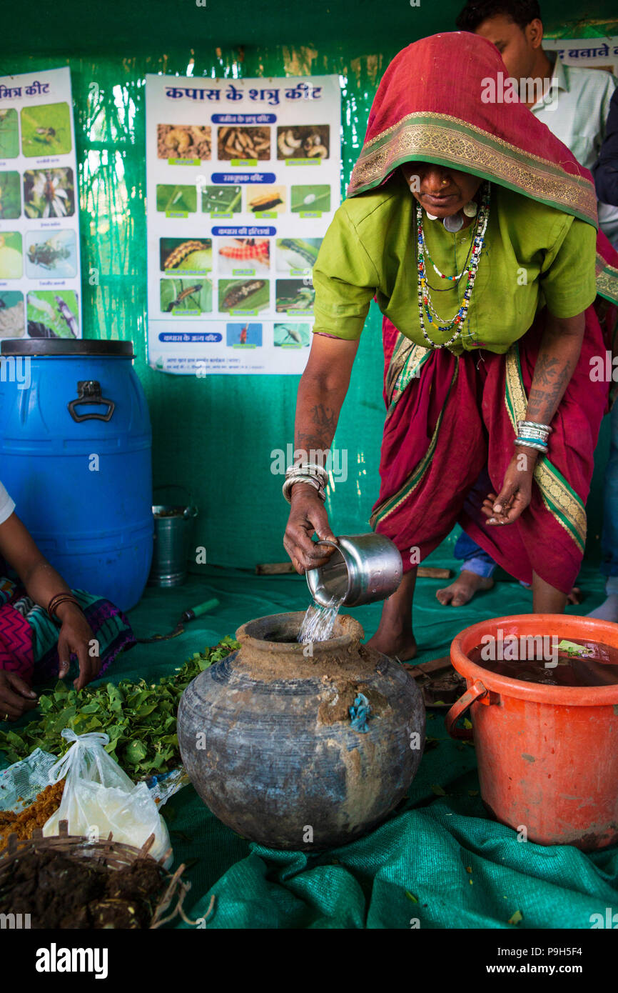 Un groupe de femmes de la région les agriculteurs apprennent à faire de l'engrais organique pour leur exploitation à un fermier, l'école de formation Sendhwa, Inde. Banque D'Images