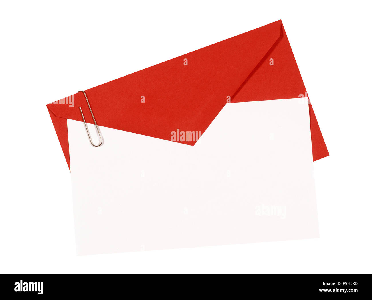 Enveloppes En Papier Kraft Vierges, Lettres D'invitation Avec Des Feuilles  D'eucalyptus Sur Un Mur Clair