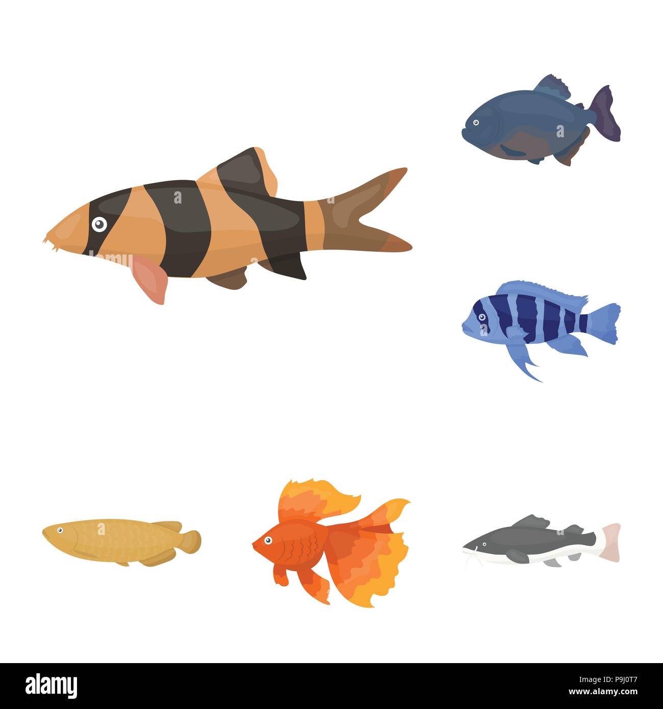 Différents types de poissons cartoon icônes de collection set pour la conception. Et les poissons d'aquarium marin symbole vecteur illustration de stock. Illustration de Vecteur