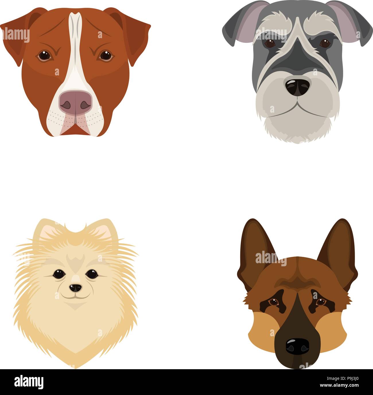 Museau De Différentes Races De Chiensrace De Chien Stafford