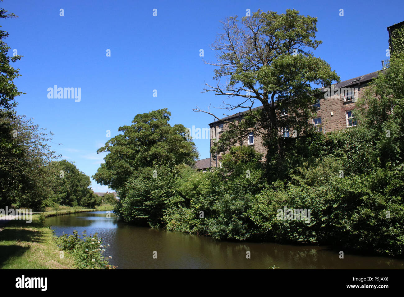 Vue le long du canal de Lancaster dans le alleu du Lancaster, Lancashire, Angleterre de près de Moor lane à le long du chemin de halage. Banque D'Images