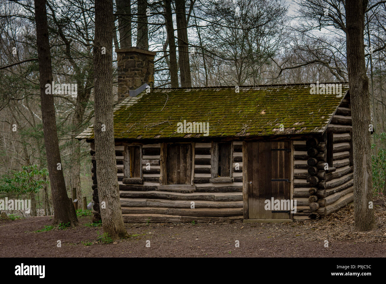 Rustic Log Cabin in the Woods Banque D'Images