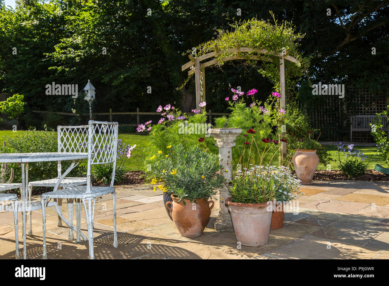 Scène de jardin avec table, chaises, pots de cosmos,cosmos chocolat,marguerites,  et une arche Couverte de jasmin Photo Stock - Alamy