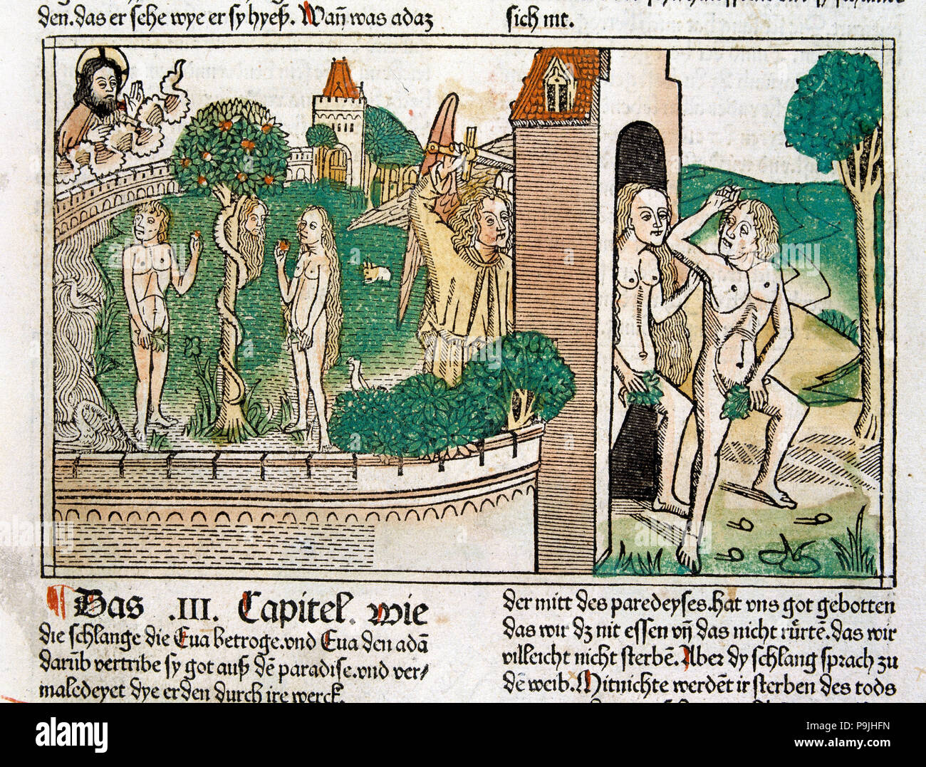 Gravure montrant Adam et Eve au paradis, scène dans la Bible de Nuremberg, édition allemande 1483. Banque D'Images