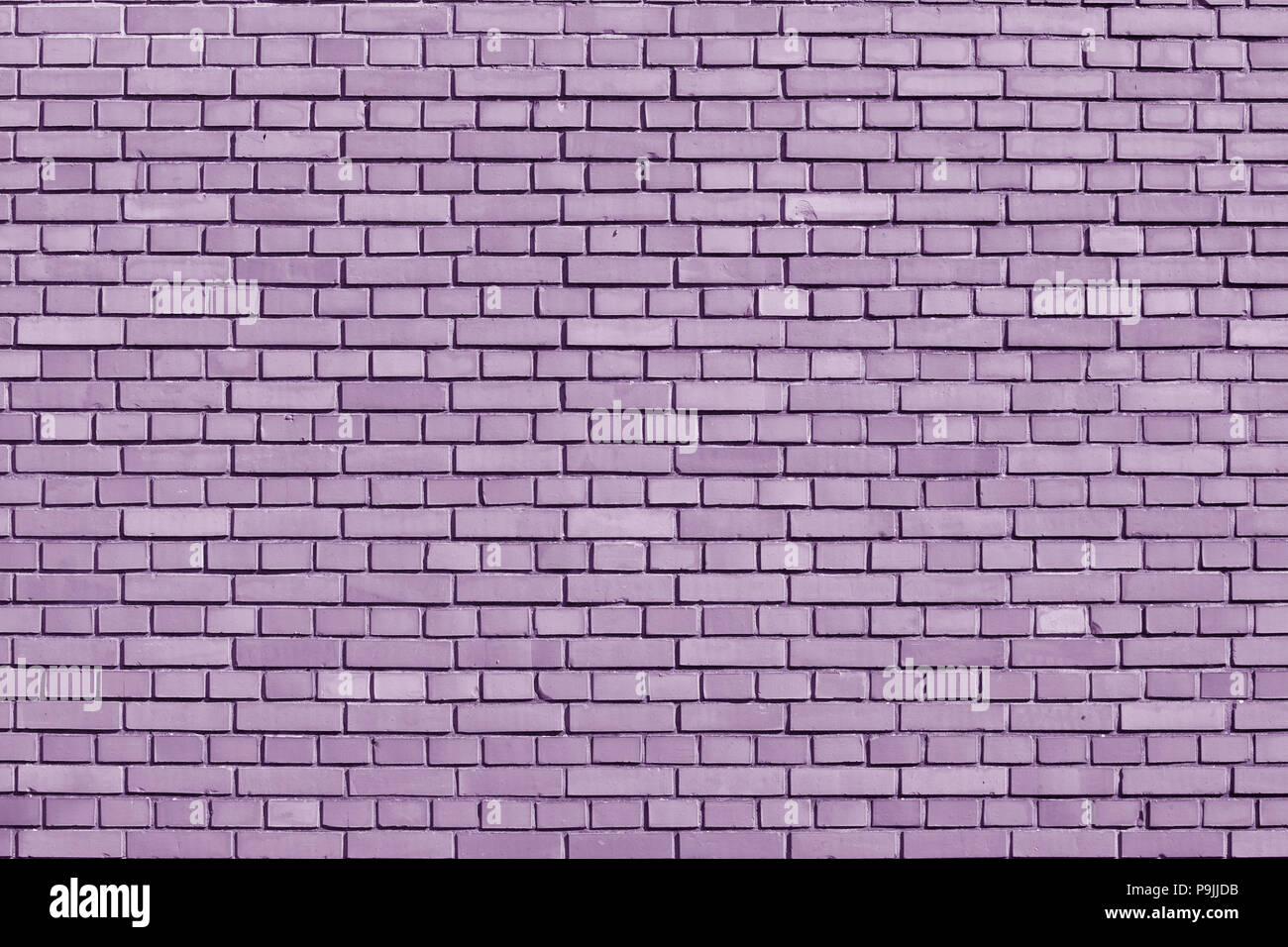 Crocus en brique de couleur des pétales wall background Banque D'Images